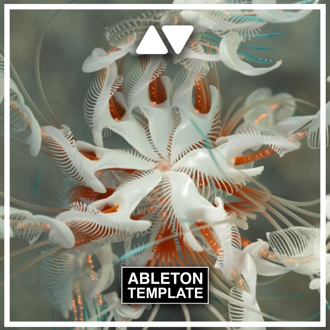 Cassian - Dun Dun Ableton Template (Melodic House)