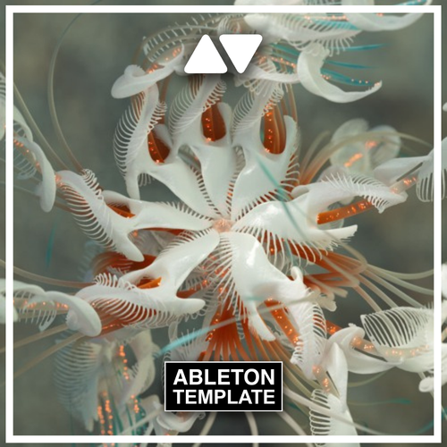 Cassian - Dun Dun Ableton Template (Melodic House)